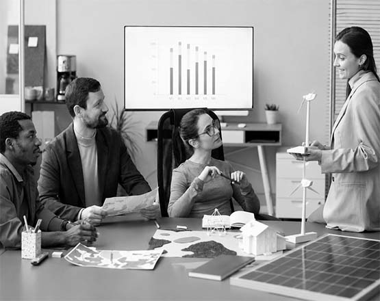 Insight Integrators Professional Team